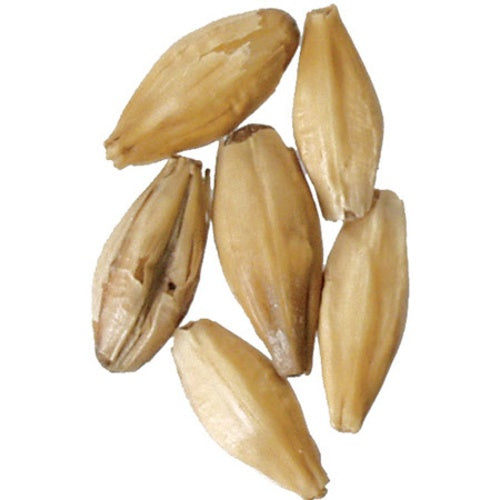 Fear of Phenols