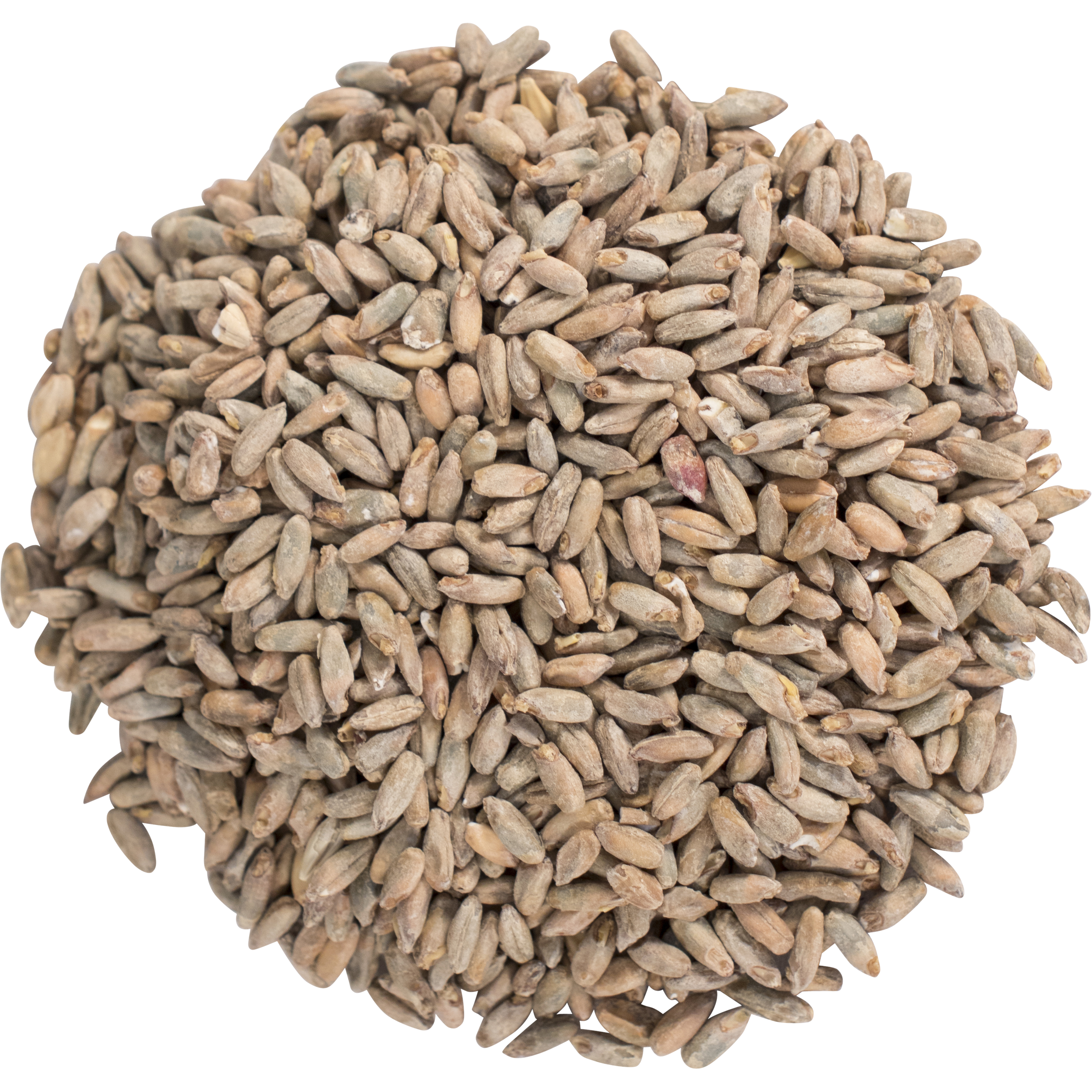 Brewing With Rye
