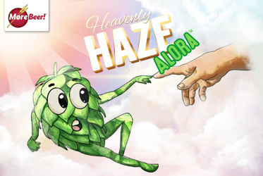 Cloudy with a Chance of Hops: Discussing the "Haze Craze"