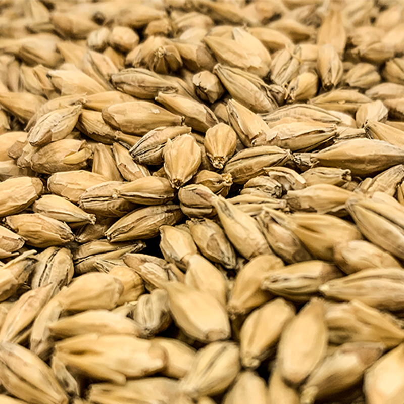 Dextrin Malt - Carapils and Maltodextrin