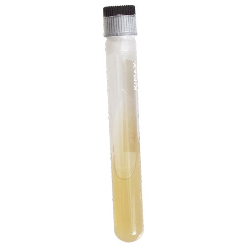 A Simple, Practical Method for Long-Term Storage of Yeast