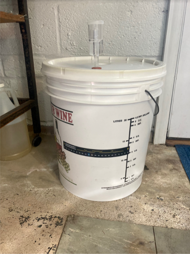It has been 2-3 days and my beer has not started fermenting?