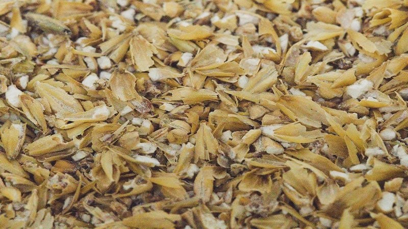 Cringe-Worthy Grain Crushing Methods Put to the Test