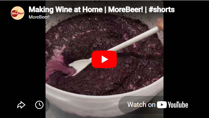 A Homebrewers Guide To Winemaking!