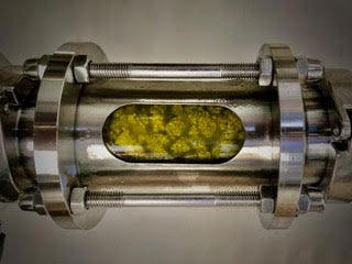 Dry Hopping