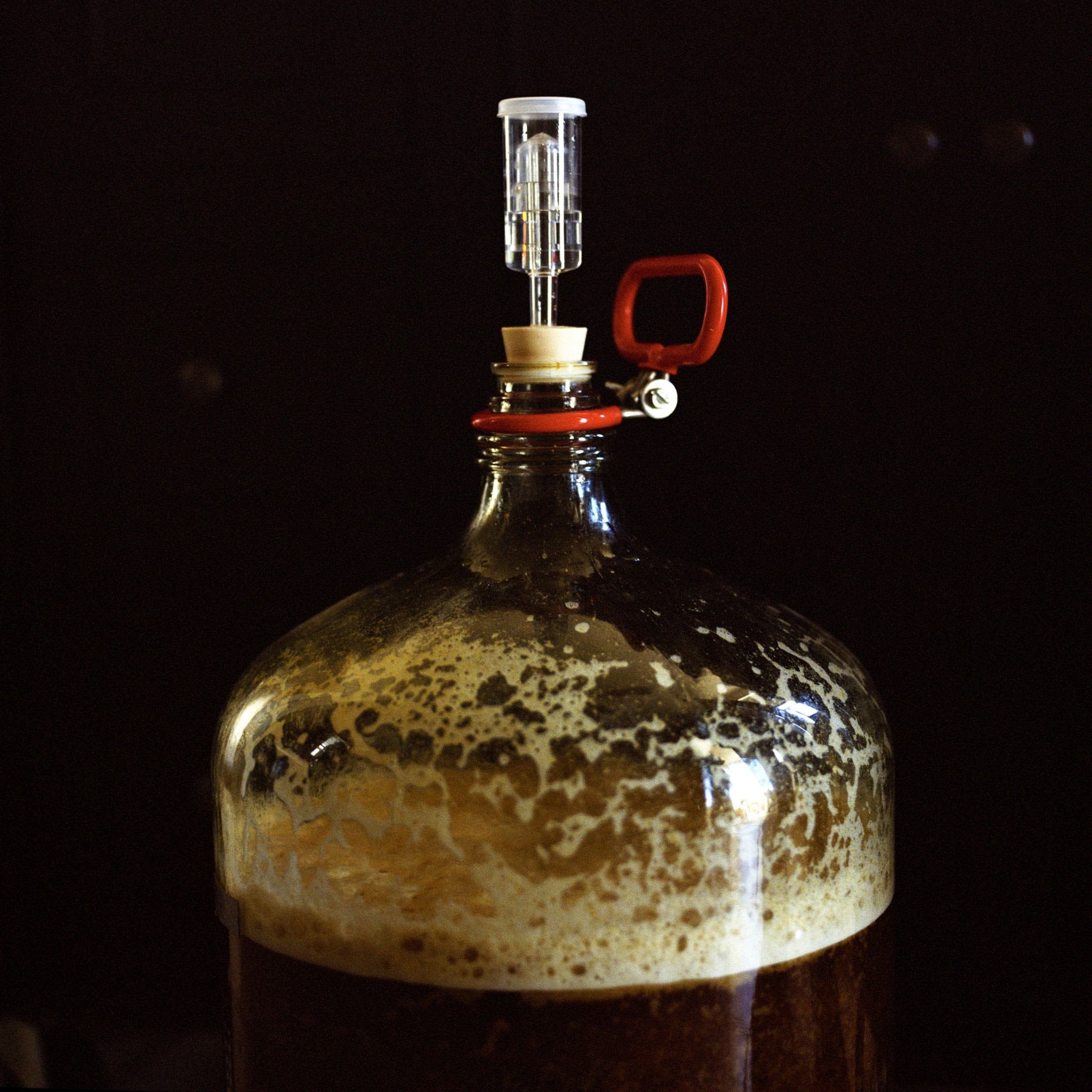Fermenting Beer