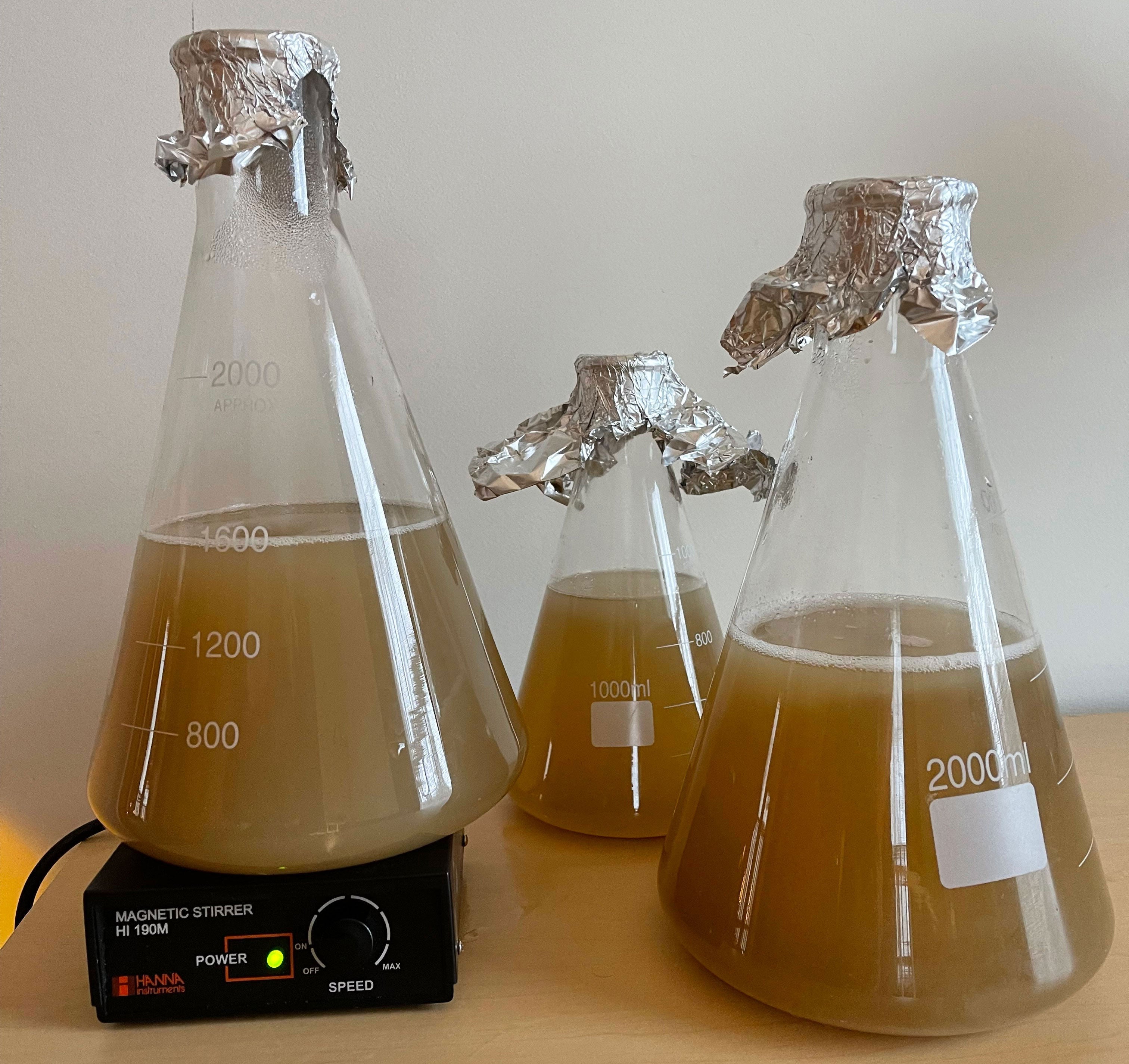 How to Craft 3 New England IPA's at Once!