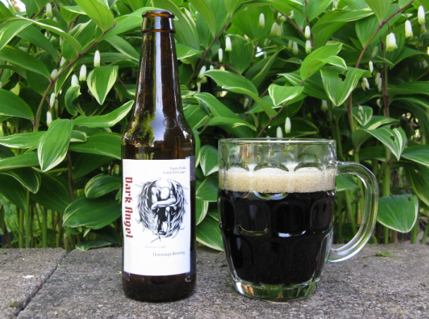 Czech it out: Czech Dark Lager