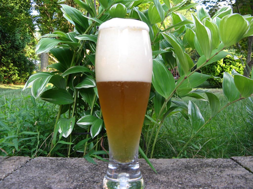 The Benefits of Homebrewing over Buying Beer