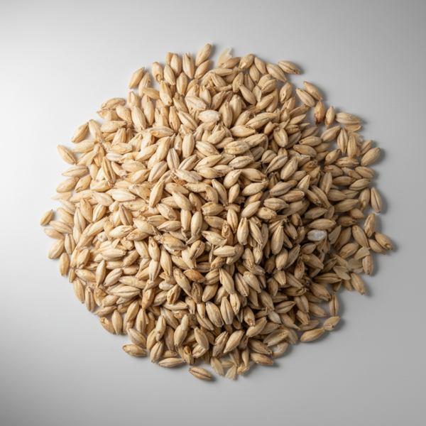 Grains, Malt, and Barley