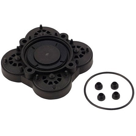 Replacement Check Valve - For Flojet 4000 Pump