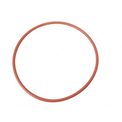 Braumeister Replacement Part - 50L Malt Pipe Gasket 