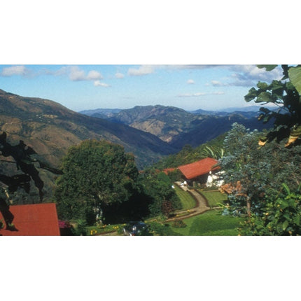 Single-Origin Reserve Series - Hacienda La Minita, La Minita, Costa Rica Tarrazu, Wet Processed - PLACEHOLDER