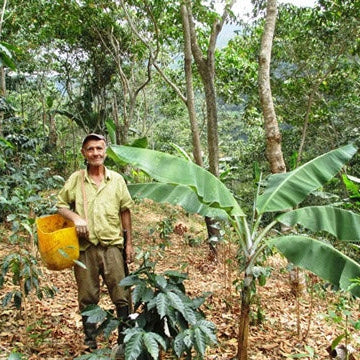 Regional Series - Colombia Nariño, Wet Processed - PLACEHOLDER