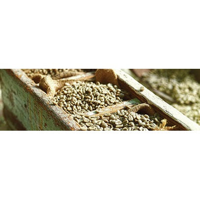 Regional Series - Papua New Guinea Arokara, Wet Processed - PLACEHOLDER