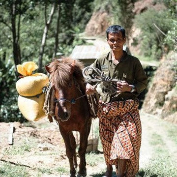 Regional Series - Indonesia Sulawesi, Wet Processed - PLACEHOLDER