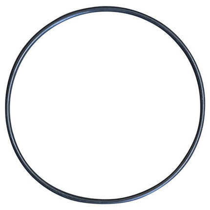 O-Ring for PMP520 Euro 20