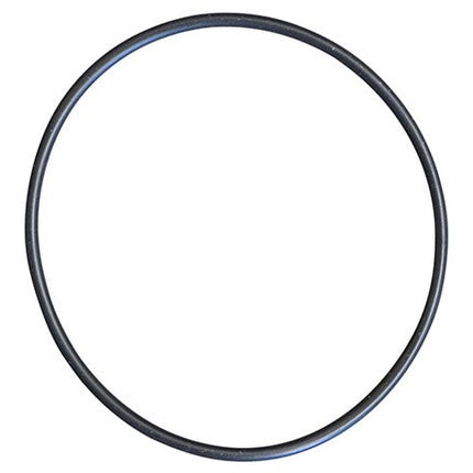 Body O-Ring for PMP530 & PMP535 Euro 30 Pumps (Pos. 6)