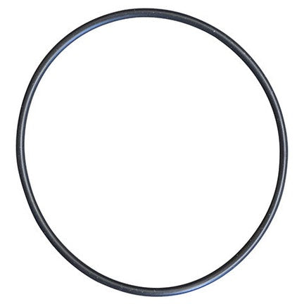 Body O-Ring for PMP530 & PMP535 Euro 30 Pumps (Pos. 6)