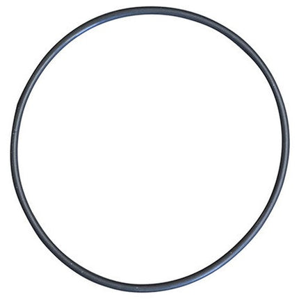 Head O-Ring for PMP530 & PMP535 Euro 30 Pumps (Pos. 13)