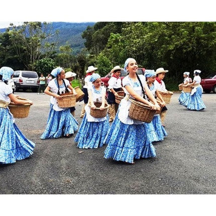 Regional Series - Costa Rica Tarrazu, Wet Processed - PLACEHOLDER