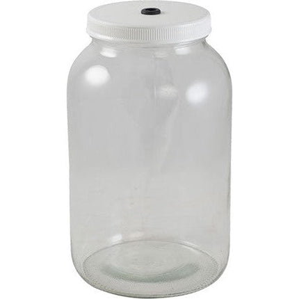 Glass Jar Fermenter Kit | 1 Gallon | Plastic Lid | Airlock - Open Box