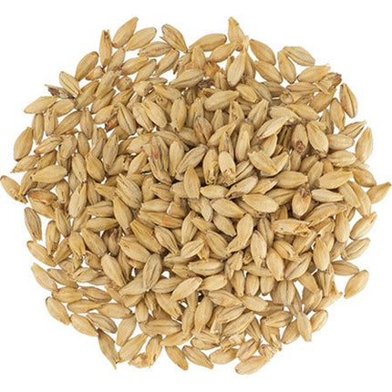 Malt - Dingemans Pale Ale - Per Lb (Showroom Only)