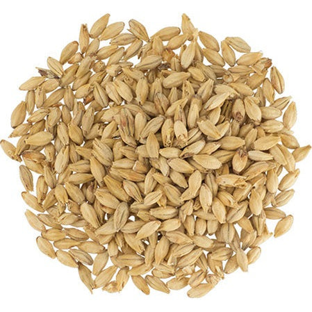 Malt - Dingemans Pale Ale - Per Lb (Showroom Only)