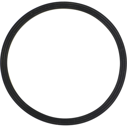 Fermentasaurus Replacement Lid Seal