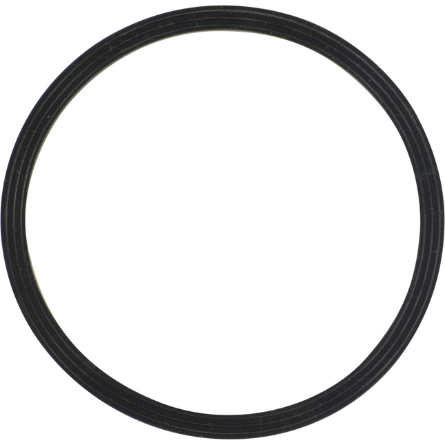 Fermentasaurus Replacement Lid Seal