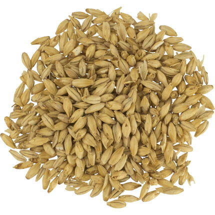 Malt - Great Western Superior Pilsen - Per Lb (Showroom Only)