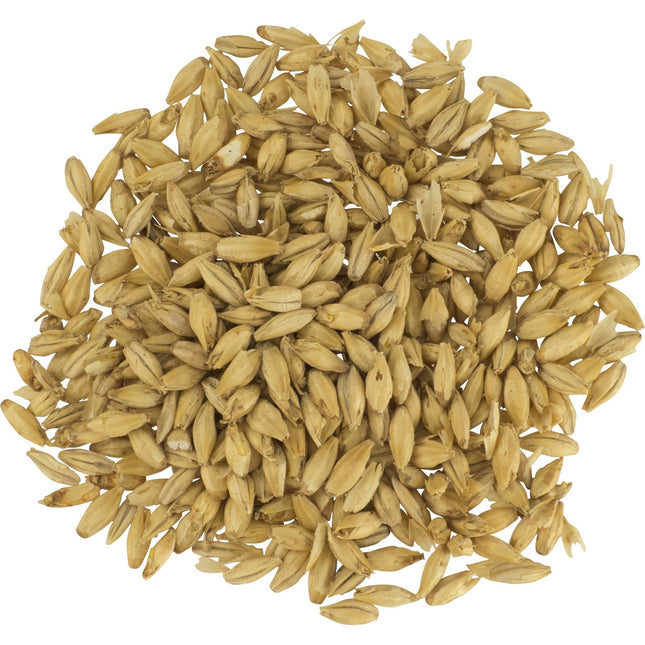 Malt - Great Western Superior Pilsen - Per Lb (Showroom Only)