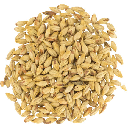 Malt - Dingemans Biscuit - Per Lb (Showroom Only)