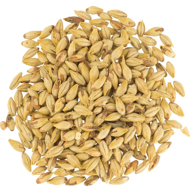 Malt - Dingemans Biscuit - Per Lb (Showroom Only)