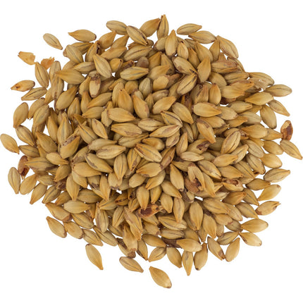 Malt - Dingemans Cara 20 (Caravienne) - Per Lb (Showroom Only)