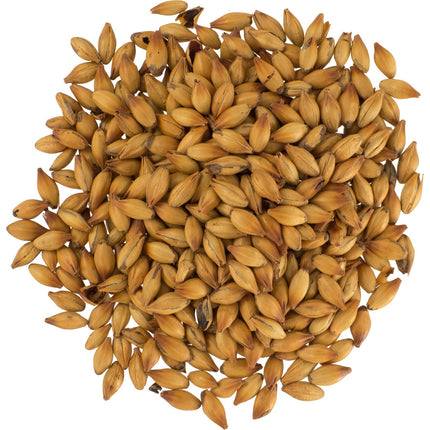 Malt - Dingemans Special B - Per Lb (Showroom Only)