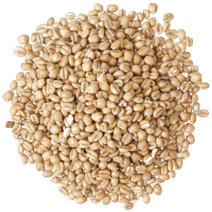 Torrified Wheat Malt - PLACEHOLDER