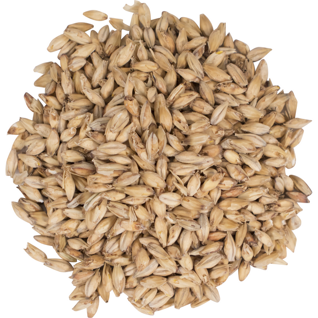 Malt - Briess Pale Ale - Per Lb (Showroom Only)
