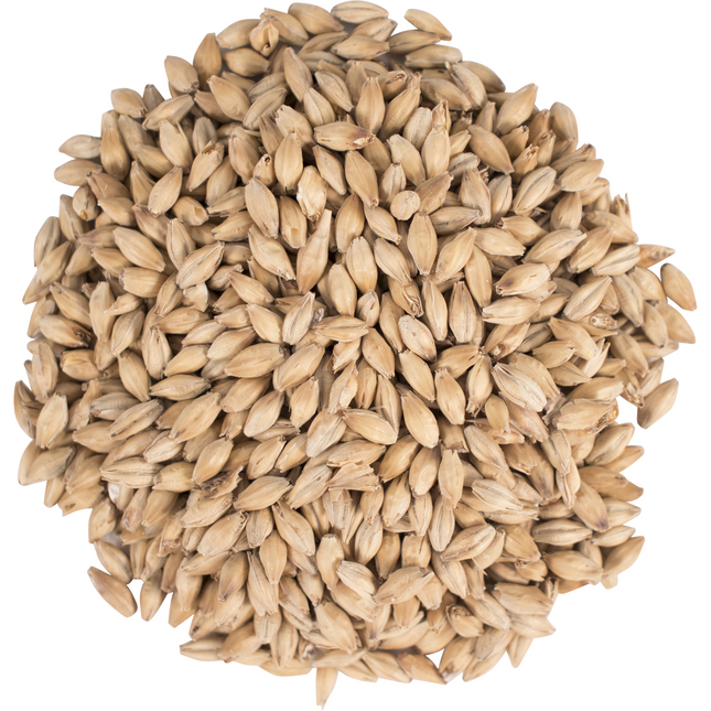 Malt - Golden Promise - Per Lb (Showroom Only)