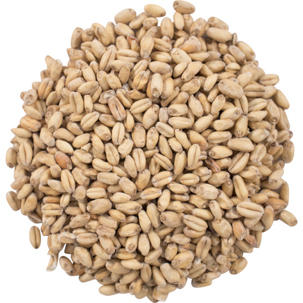 Malt - Great Western White Wheat - Per Lb (Showroom Only)