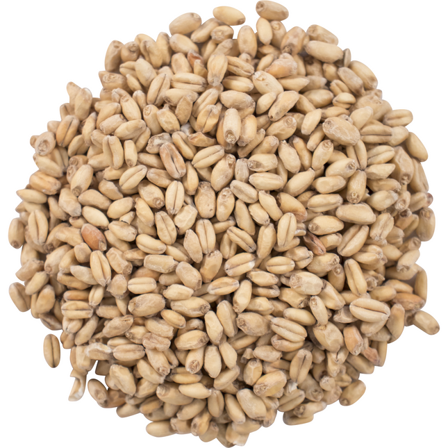 Malt - Great Western White Wheat - Per Lb (Showroom Only)