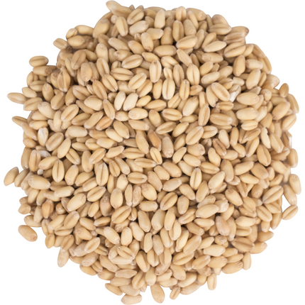 Malt - Briess Raw White Wheat - Per Lb (Showroom Only)