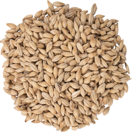 Malt - CaraFoam - Per Lb (Showroom Only)