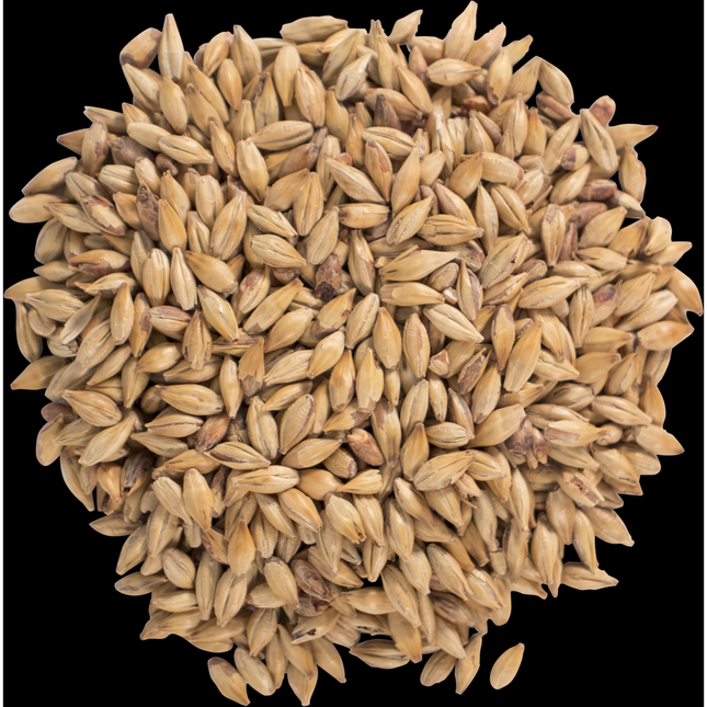 Malt - CaraRed - Per Lb (Showroom Only)
