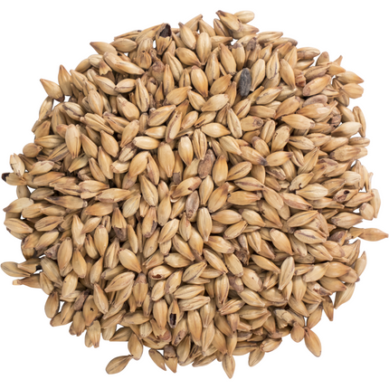 Malt - Carastan - Per Lb (Showroom Only)