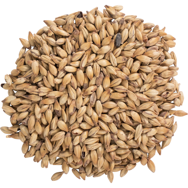 Malt - Carastan - Per Lb (Showroom Only)