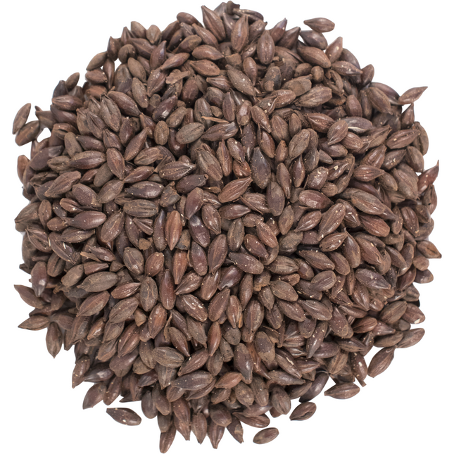Malt - Roasted Barley - Per Lb (Showroom Only)