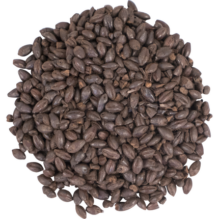 Malt - Briess Black Roasted Barley - Per Lb (Showroom Only)