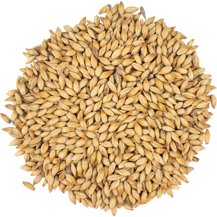 Malt - Viking Malt Caramel 100 (40L) - Per Lb (Showroom Only)