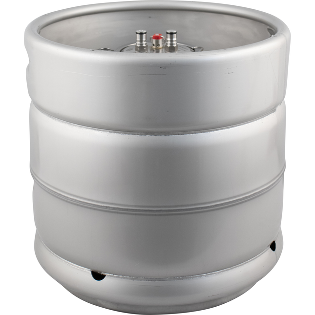 Kegmenter - 29 L (4 in T.C. Lid w/ Ball Lock Posts, Floating Dip Tube)